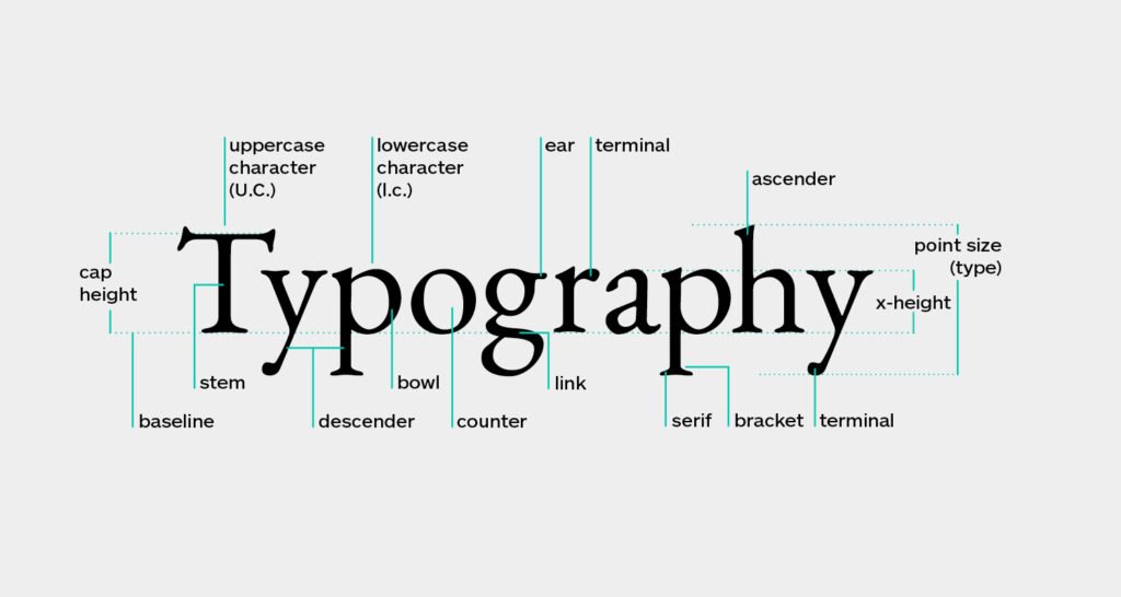 typography elements